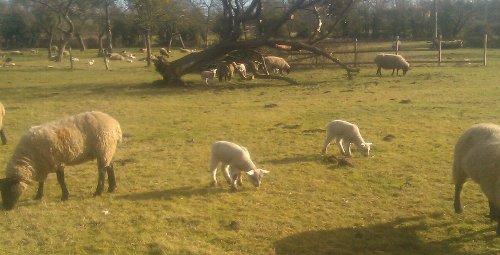 View from the kitchen in the Cotswolds