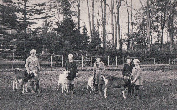 The Farmhouse School Children