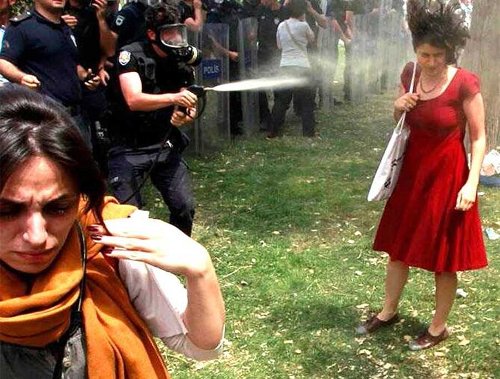 The Iconic Lady in Red Taksim Square Gezi Park 2013 Protests